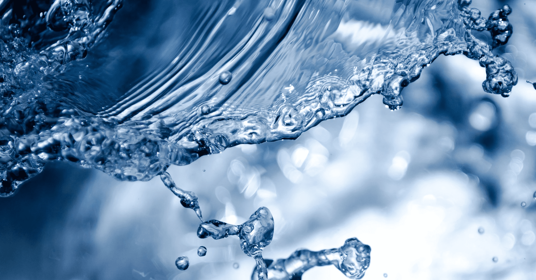 impiego acqua industria alimentare